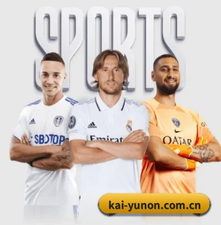开云官方入口 APP - kaiyun