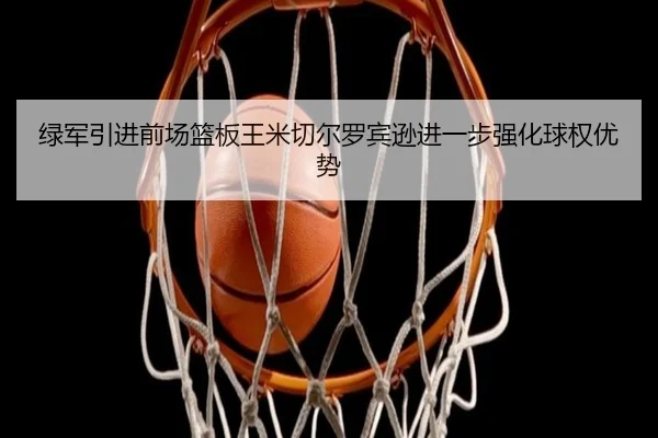 绿军引进前场篮板王米切尔罗宾逊进一步强化球权优势 | kaiyun